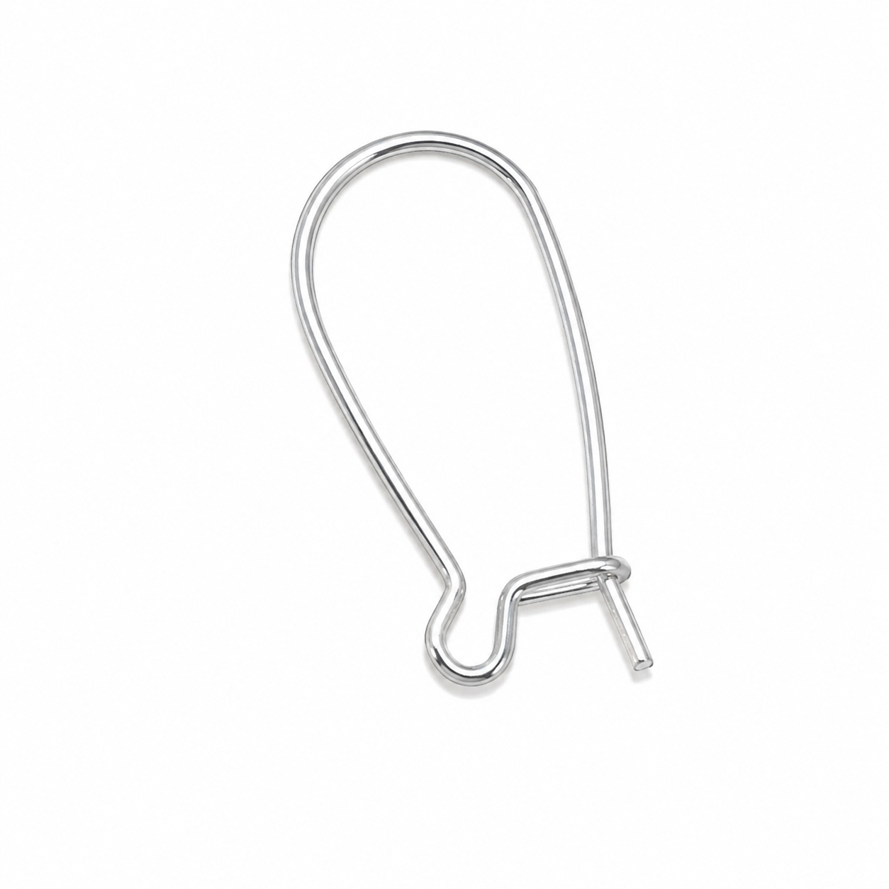 Earing Loop